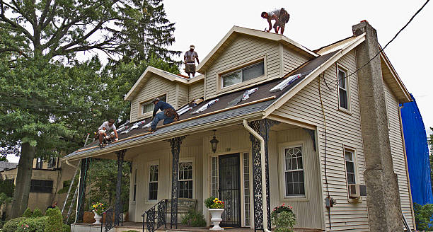 Roof Gutter Cleaning in Salisbury, MO