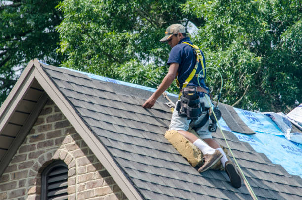 Best Storm Damage Roof Repair  in Salisbury, MO